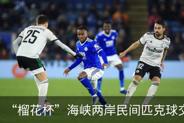 “榴花杯”海峡两岸民间匹克球交流赛在云南省玉溪开赛