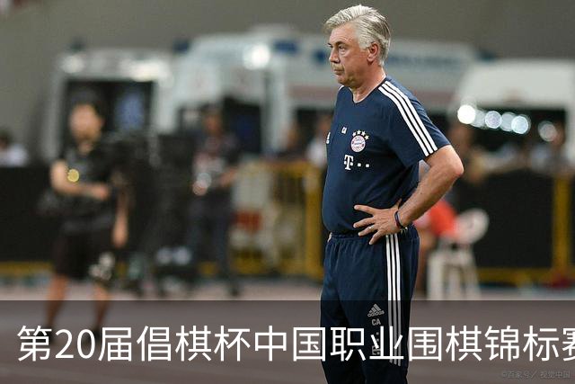第20届倡棋杯中国职业围棋锦标赛北京开幕